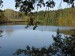 Mlýnský rybník říjen 2008 011.jpg